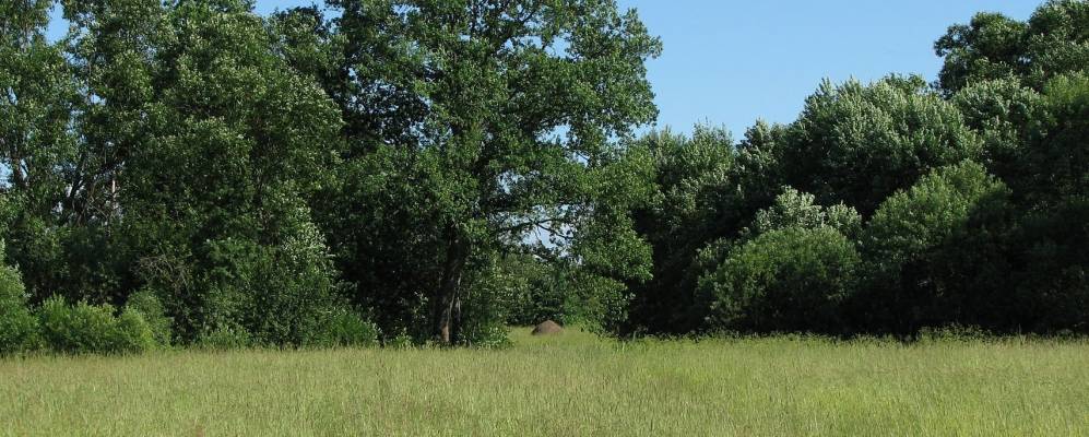 Фотография Юрьево