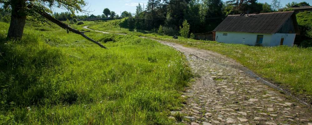 
            Фотография Драчево