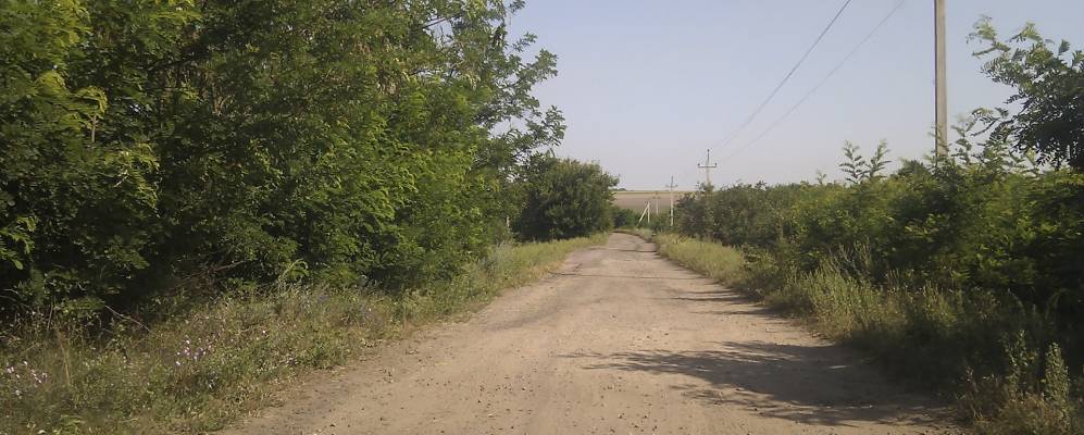 
            Фотография Гольмы