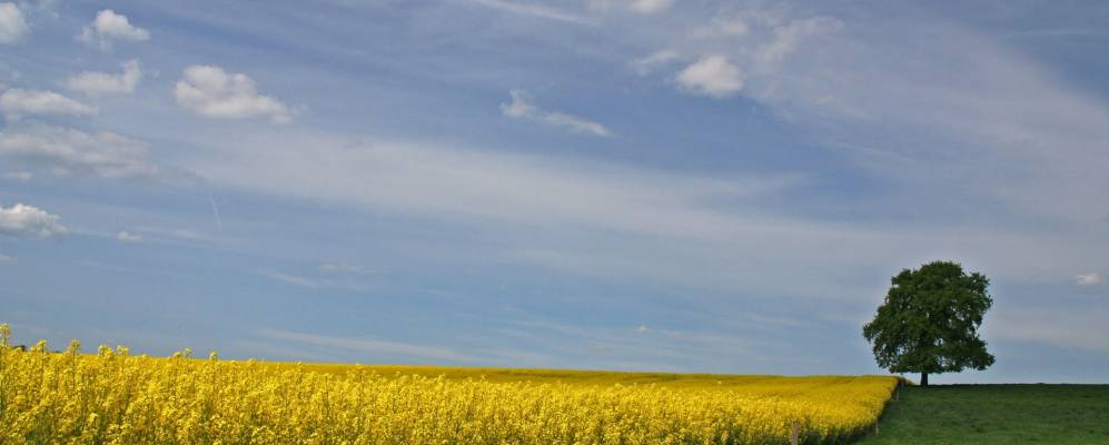 
            Фотография Баргфельд-Штегена