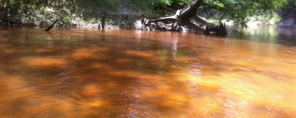 
            Фотография Силсби