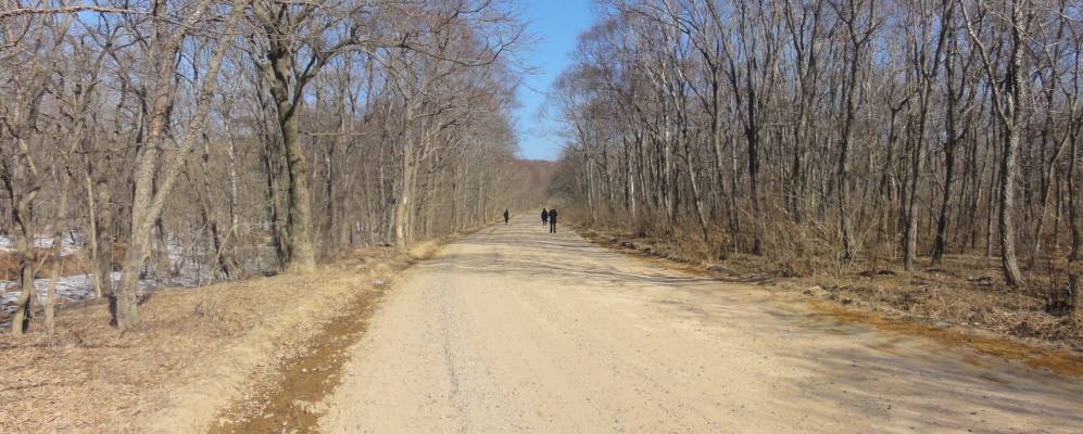 
            Фотография Попова