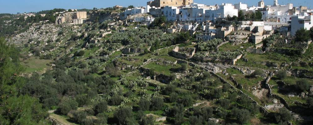 
            Фотография Паладжанелло