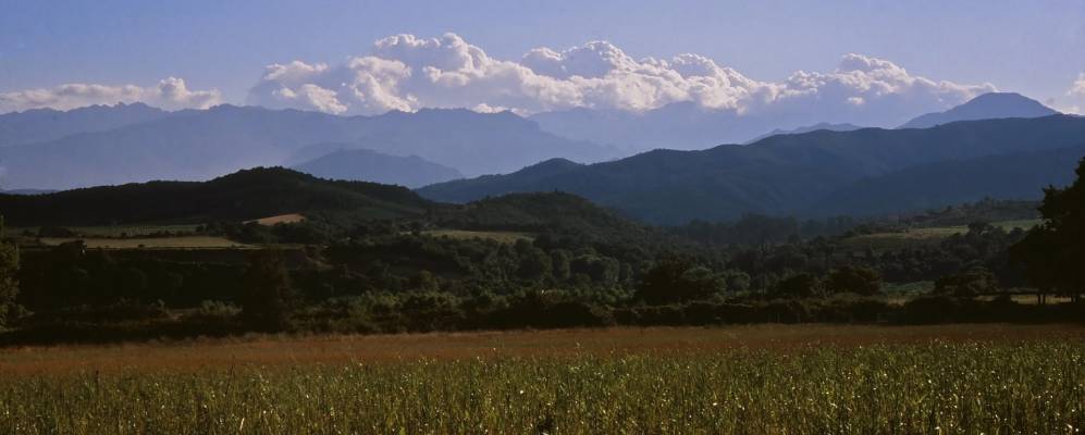 
            Фотография Ротани