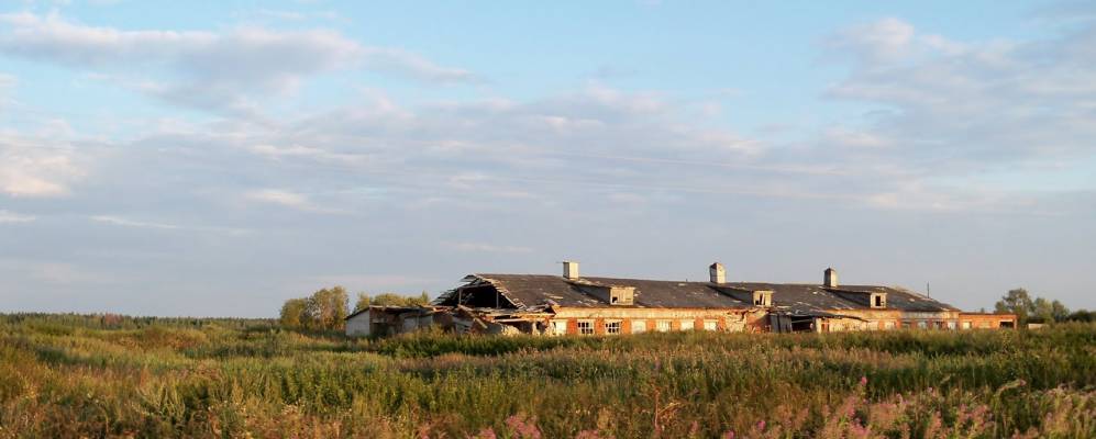 
            Фотография Сидоровского