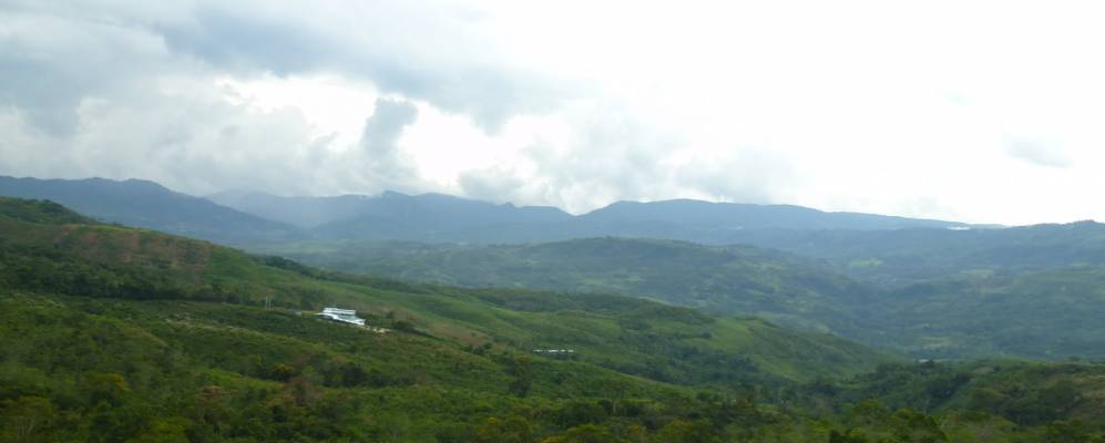 
            Фотография Ламаса