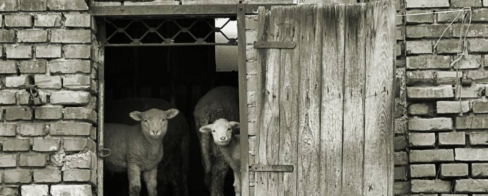 
            Фотография Теплицы-над-Бечвой