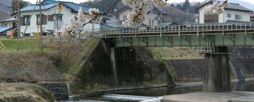 
            Фотография Огавы