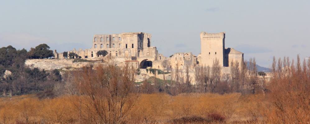 
            Фотография Фурка