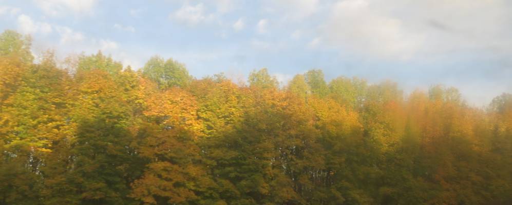 
            Фотография Макаровки