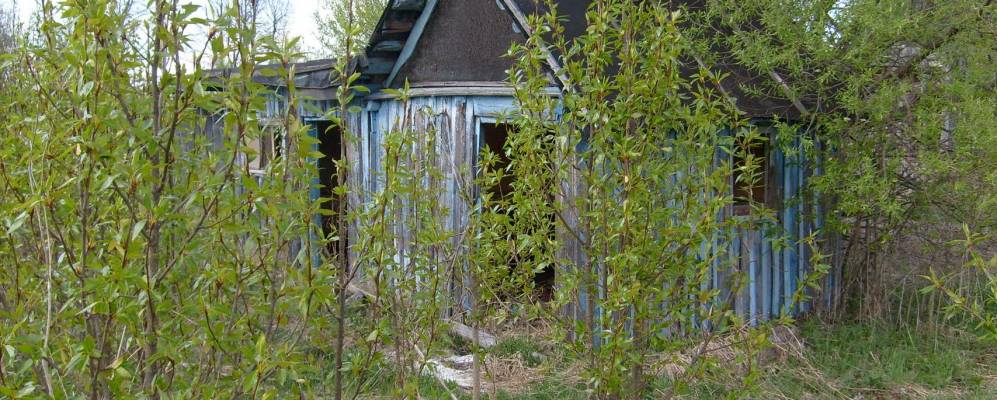 
            Фотография Никольского