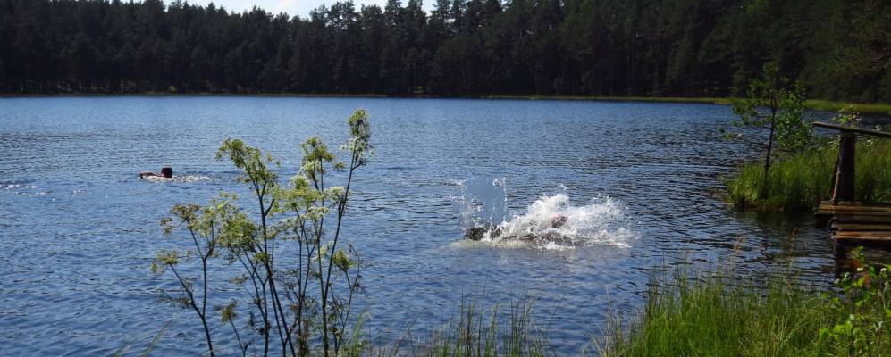 Фотография Поташни