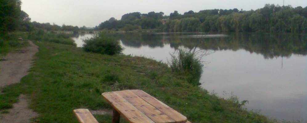 
            Фотография Милятина