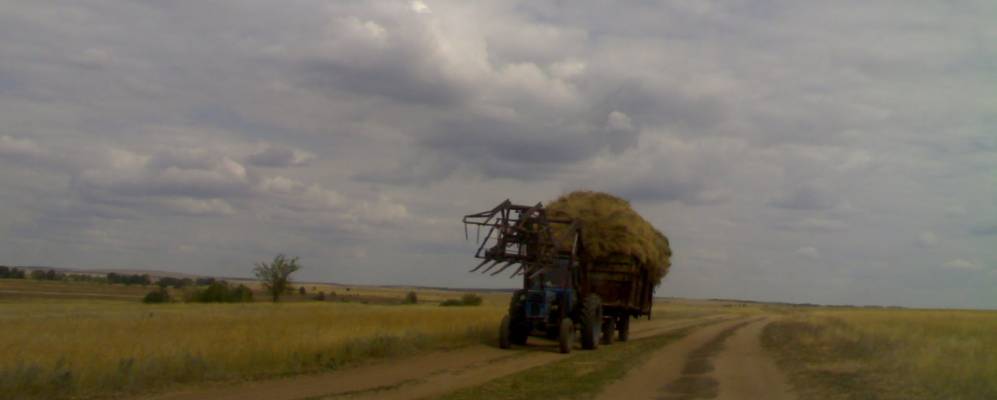 
            Фотография Лужков