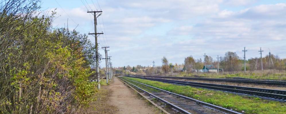 Фотография Новотроицкого