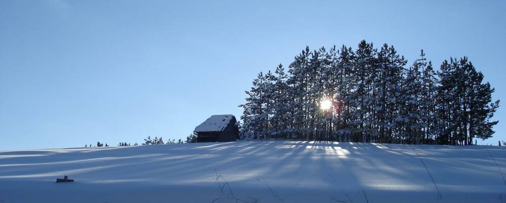 
            Фотография Златибора