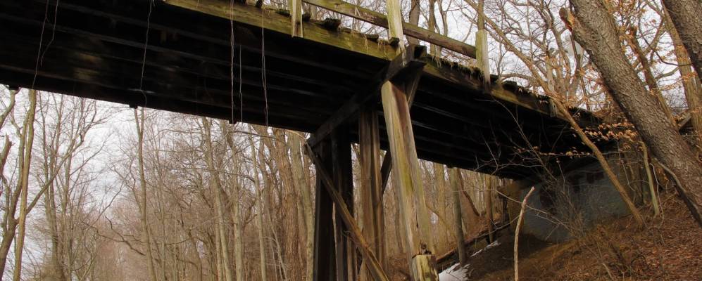 
            Фотография Морганвилла