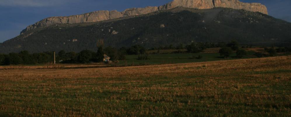 
            Фотография Сигуайе