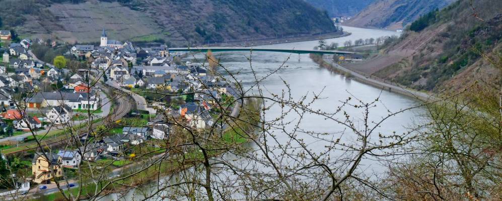 
            Фотография Броденбаха