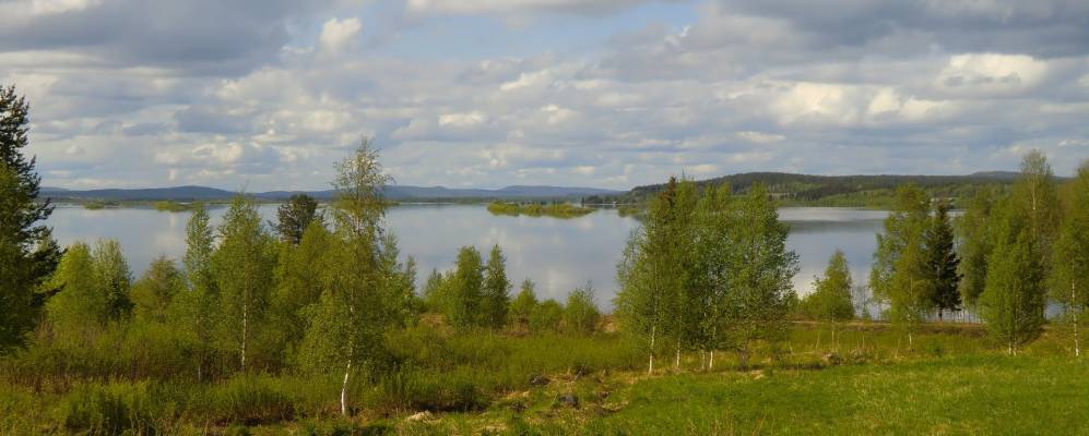 Фотография Risudden