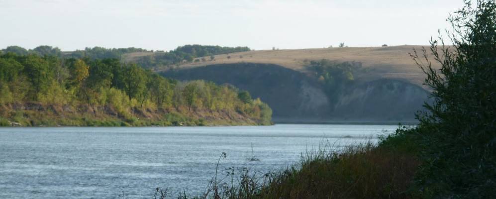 
            Фотография Отрожков