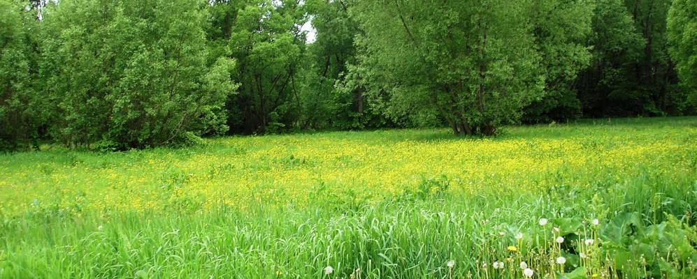 
            Фотография Лизуновки