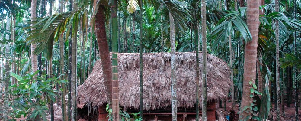 
            Фотография Нахоркатии