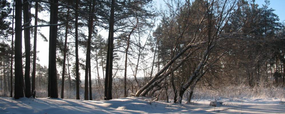 Фотография Сельца