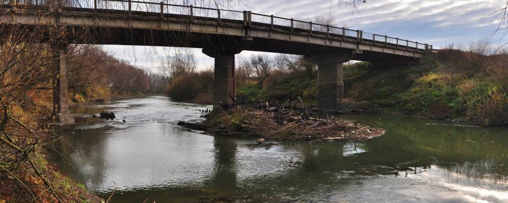 
            Фотография Колодрубы