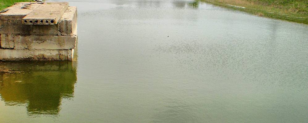 
            Фотография Красного Пода