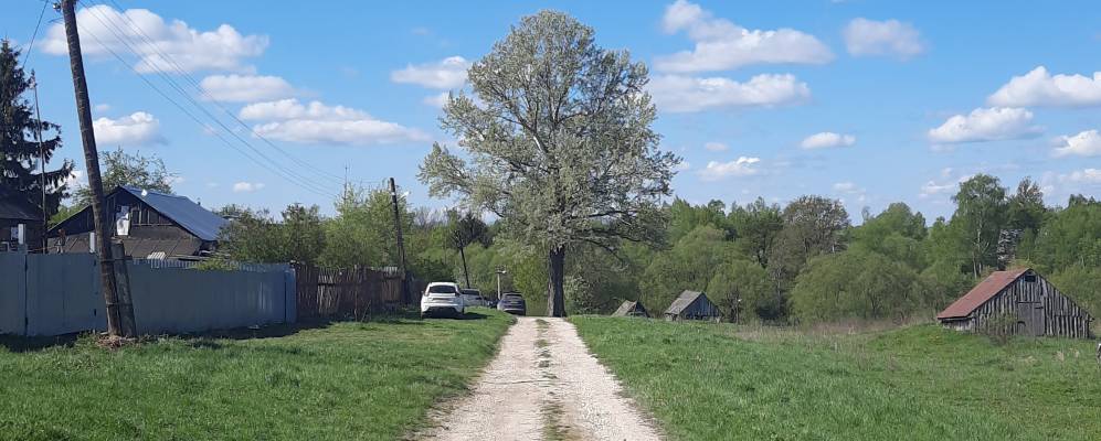 Фотография Труново