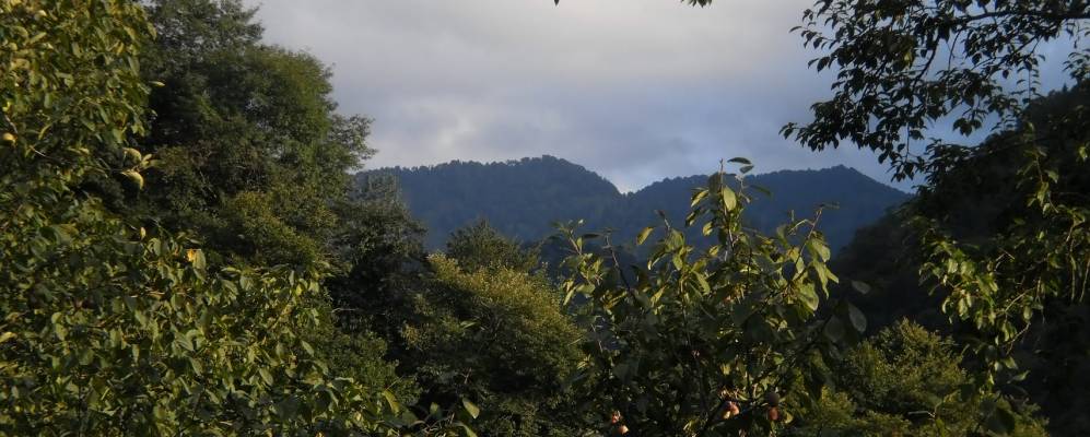 
            Фотография Сачхере