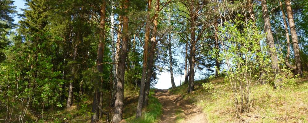 Фотография Горынь