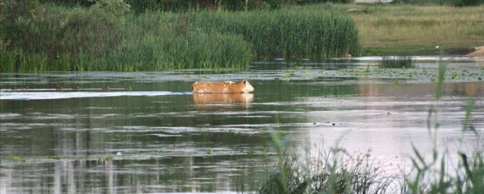 
            Фотография поселка Пристень