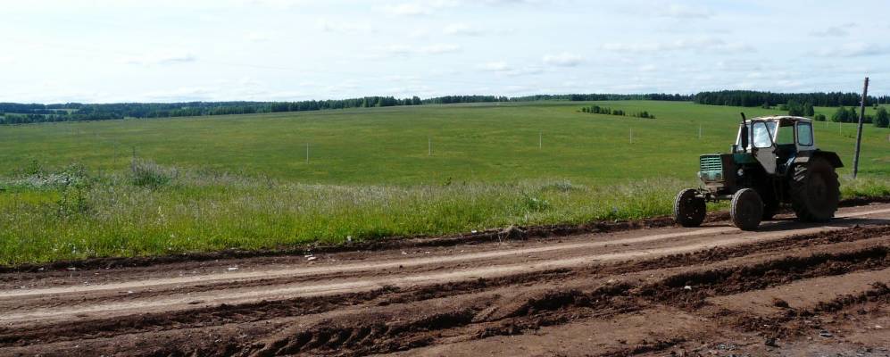 
            Фотография Сосково