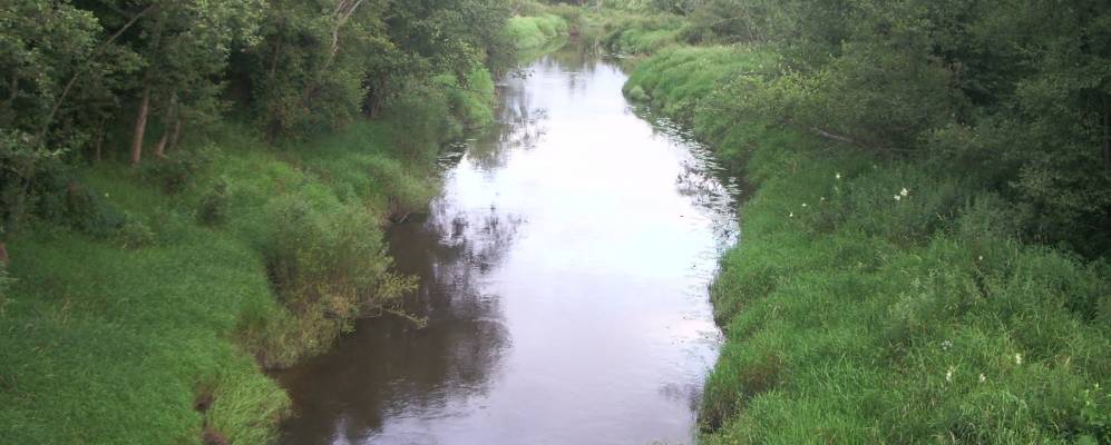 
            Фотография Бракулино