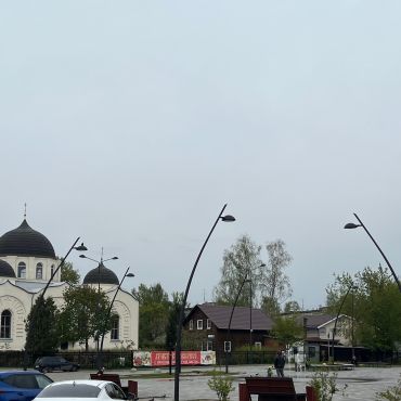 Электроугли