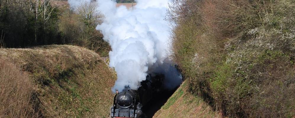 
            Фотография Уошфорда