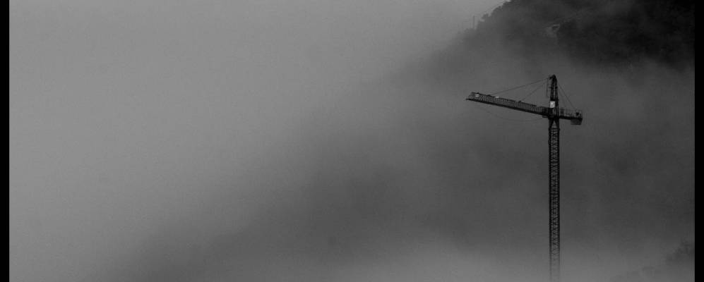 
            Фотография Сорта