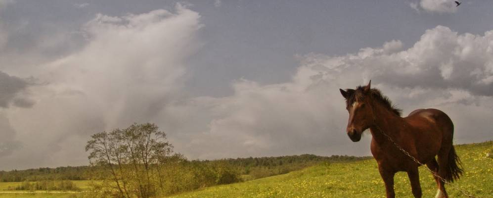 Фотография Семенцево