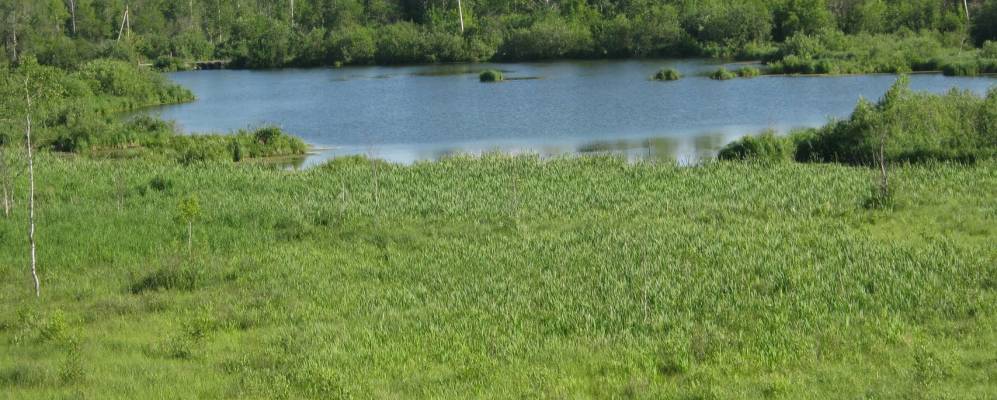 
            Фотография Русского Мелекесса