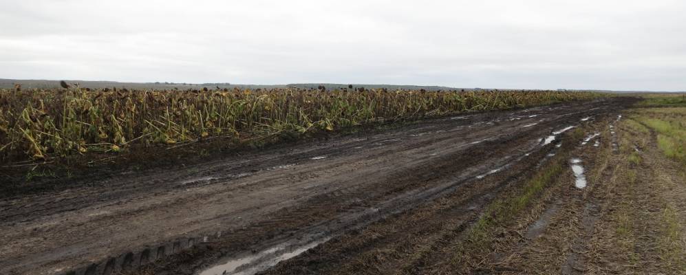 
            Фотография Андреевки