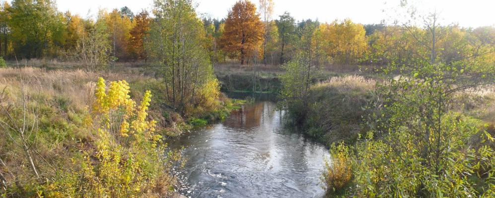 
            Фотография деревни Пристороны