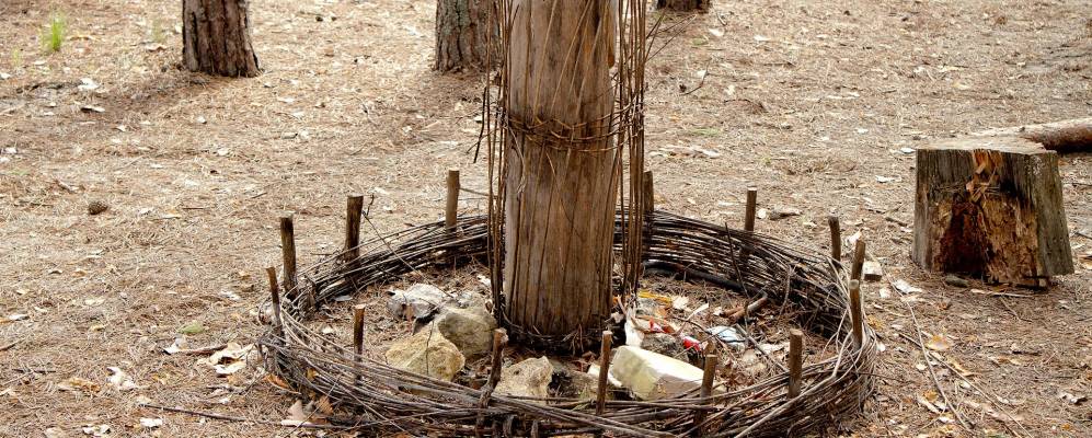 
            Фотография Колотилово