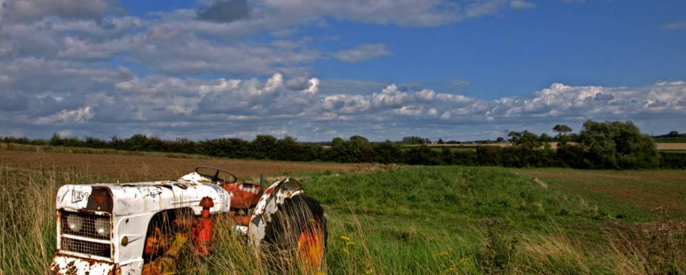 
            Фотография Кингтона