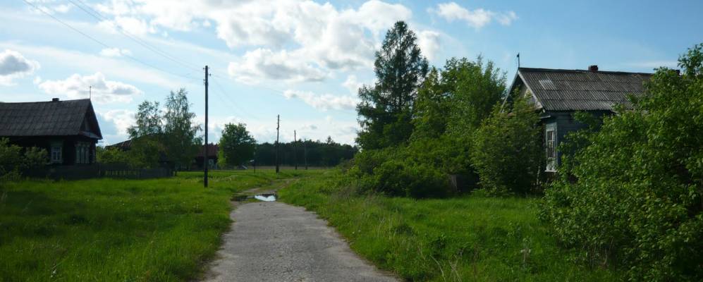 
            Фотография Рябихи