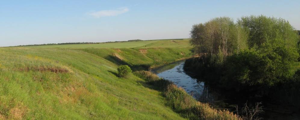 
            Фотография Рогачева