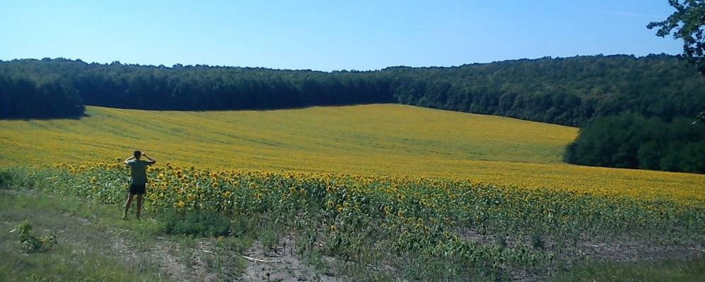 
            Фотография Вершацы