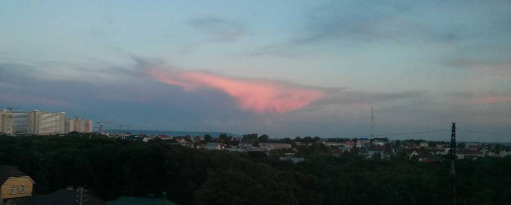 
            Фотография Грушки