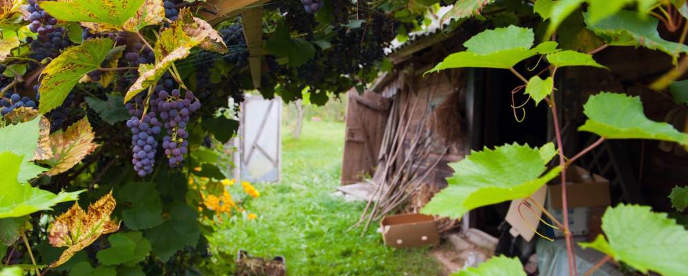 Фотография деревни Блевчицы